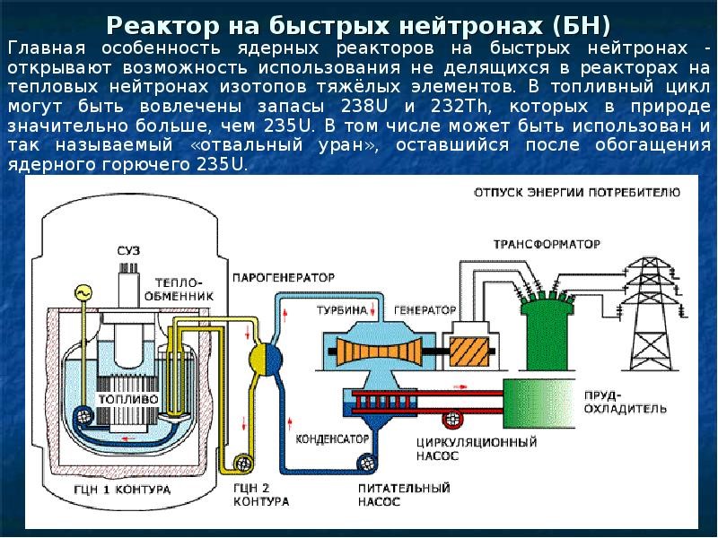 Какая реакция в ядерном реакторе. БН реактор на быстрых нейтронах. Схема устройства ядерного реактора на быстрых нейтронах. БН-800 реактор схема. Атомная электростанция реактор схема.